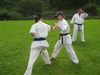 IMG_1587_800x600.jpg
