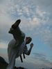 IMG_1640_800x600.jpg