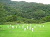 IMG_1518_800x600.jpg