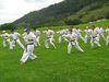 IMG_1522_800x600.jpg