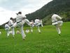 IMG_1555_800x600.jpg