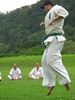 IMG_1557_800x600.jpg