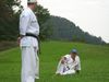 IMG_1558_800x600.jpg