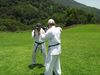 IMG_1673_800x600.jpg