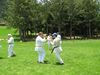 IMG_1680_800x600.jpg