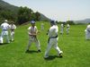 IMG_1728_800x600.jpg