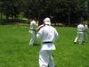 IMG_1817_800x600.jpg