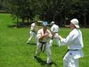 IMG_1818_800x600.jpg