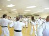 P1020540_800x600.JPG
