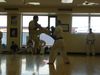 P1020444_800x600.JPG