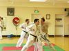 P1020454_800x600.JPG