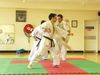 P1020457_800x600.JPG