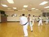 P1020509_800x600.JPG