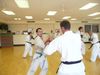 P1020518_800x600.JPG